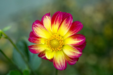 Similar image 6557622