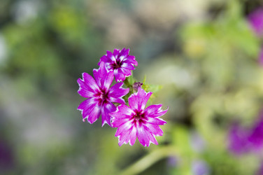 Similar image 6557623