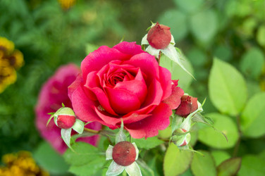 Similar image 6557624