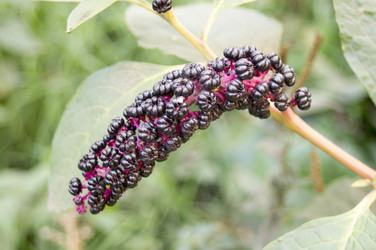 Similar image 6557658