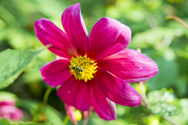 Similar image 6557659