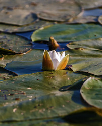 Similar image 6557671