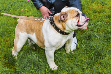 Similar image 6557676