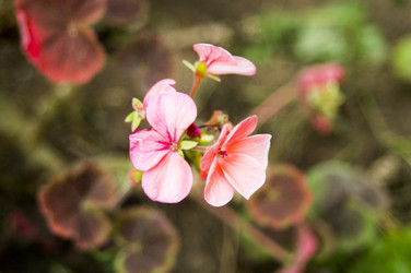 Similar image 6557680