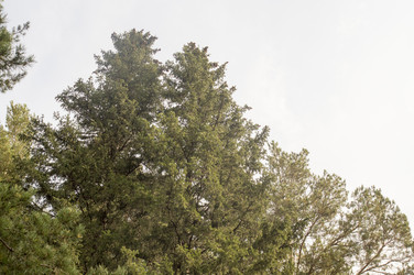 Similar image 6557683