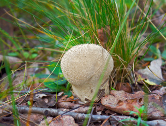 Similar image 6557698