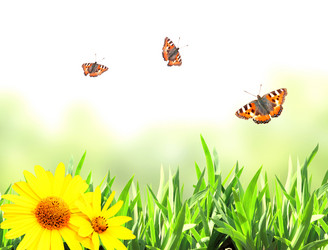 Similar image 6557791