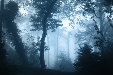 Similar image 6557794