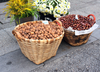 Similar image 6557823