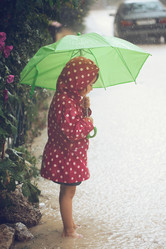 Similar image 6557829