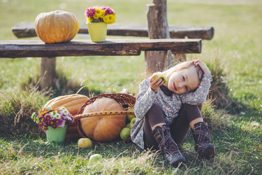 Similar image 6557830