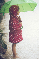 Similar image 6557837