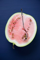 Similar image 6557973