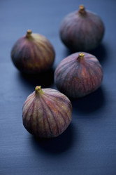 Similar image 6557989