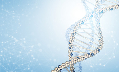 Similar image 6558035