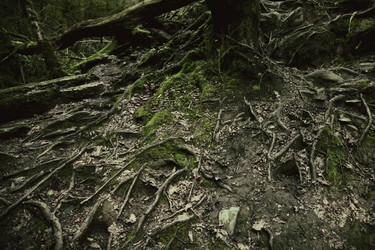 Similar image 6558121