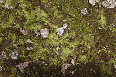 Similar image 6558132