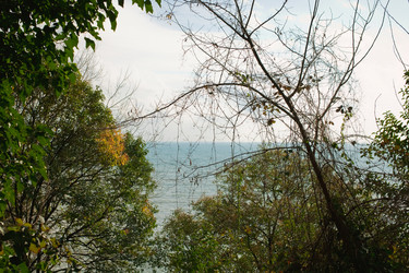 Similar image 6558141