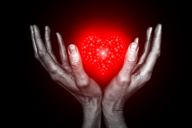 Similar image 6558153