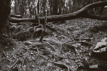 Similar image 6558175