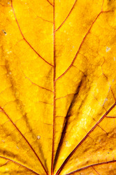 Similar image 6558221