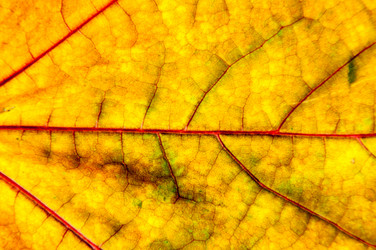 Similar image 6558223