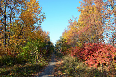 Similar image 6562755