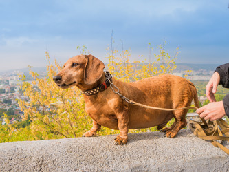 Similar image 6562757