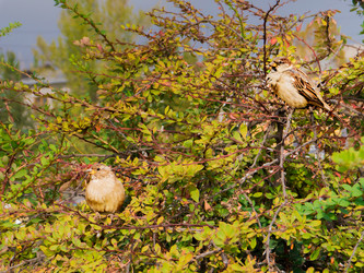 Similar image 6562758