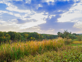 Similar image 6562759