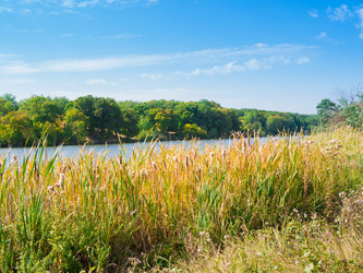 Similar image 6562760