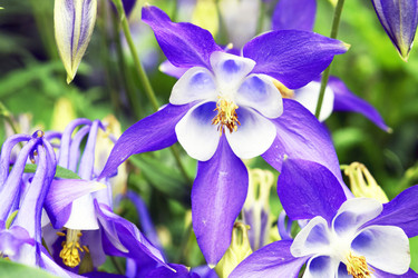 Similar image 6562763