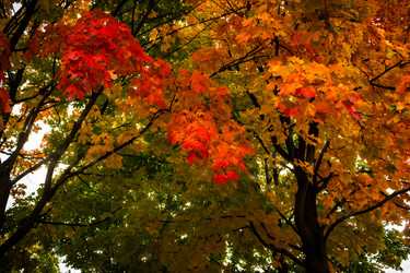 Similar image 6562766