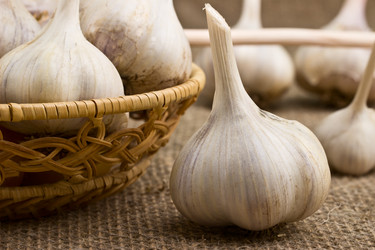 Similar image 6562771