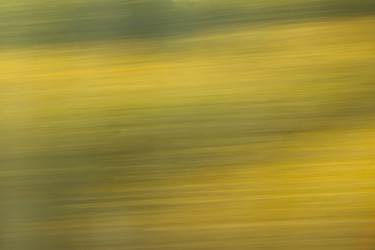 Similar image 6562772