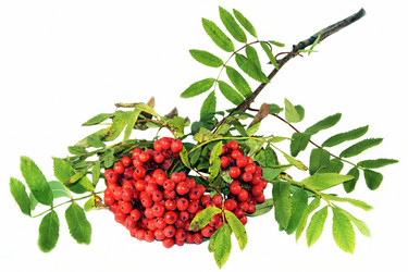 Similar image 6562775