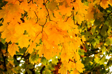 Similar image 6562795