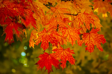 Similar image 6562796