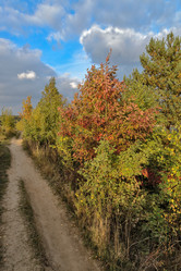 Similar image 6562851