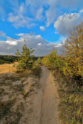 Similar image 6562852