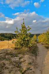 Similar image 6562853