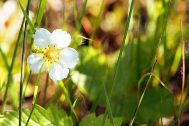 Similar image 6562883