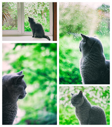 Similar image 6563435