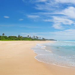 Similar image 6563454