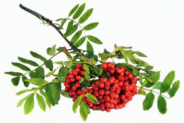 Similar image 6563475