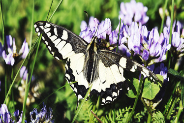 Similar image 6563476