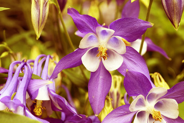 Similar image 6563486