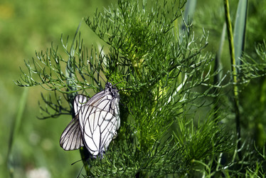 Similar image 6563509