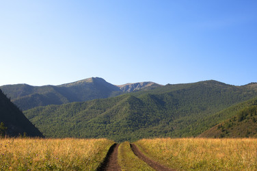 Similar image 6563566