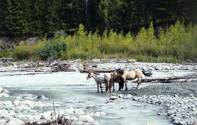 Similar image 6563567